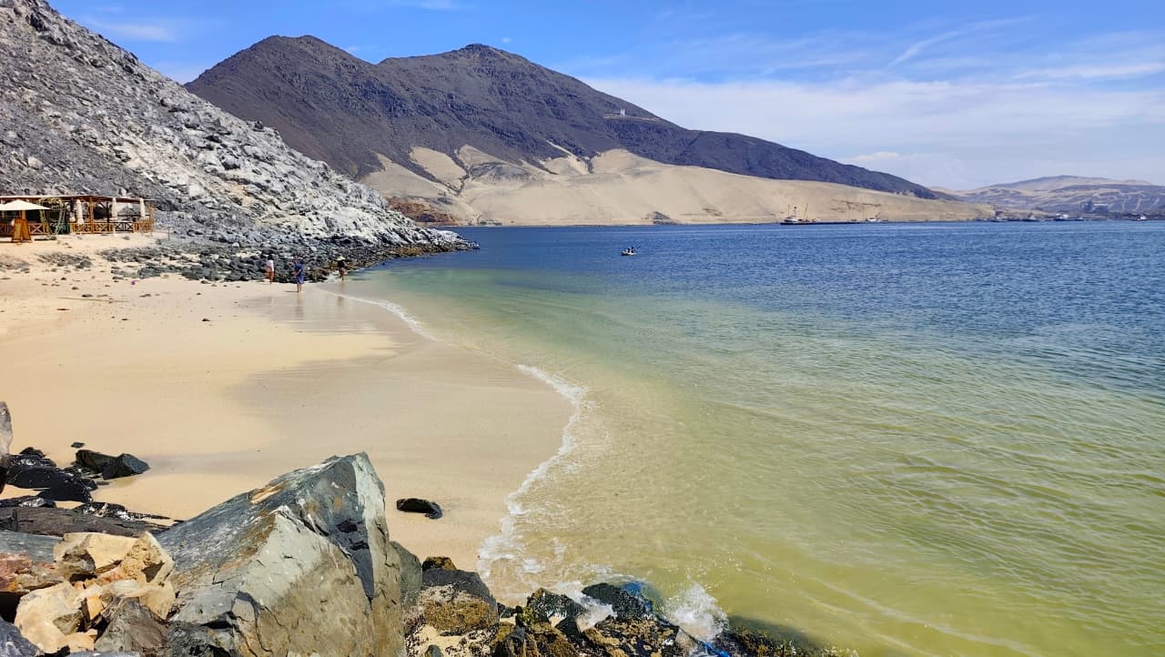 00c8fc35-c750-4ffc-b987-e450d40e08c0